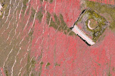 Soyut sanat duvar resmi. Modern, çağdaş sanat geçmişi