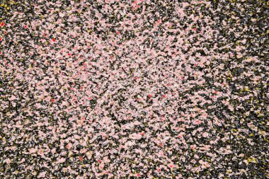 Soyut sanat duvar resmi. Modern, çağdaş sanat geçmişi