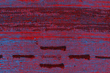 soyut renk dokusu, arkaplan, duvar kağıdını kopyala