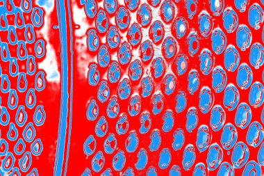 arkaplan olarak soyut renk dokusu, duvar kağıdını kopyala 