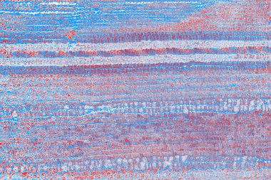 arkaplan olarak soyut renk dokusu, duvar kağıdını kopyala 