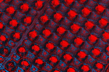 soyut renk dokusu, arkaplan, duvar kağıdını kopyala