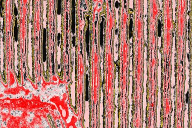 Soyut sanat duvar resmi. Modern, çağdaş sanat geçmişi