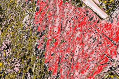 Soyut sanat duvar resmi. Modern, çağdaş sanat geçmişi