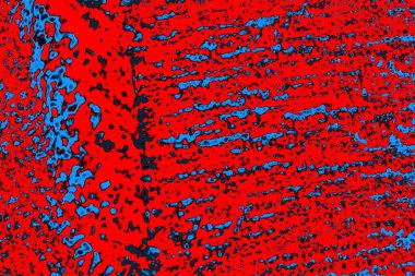 soyut yeşil doku, arkaplan, duvar kağıdını kopyala