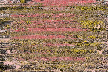 Soyut sanat duvar resmi. Modern, çağdaş sanat geçmişi