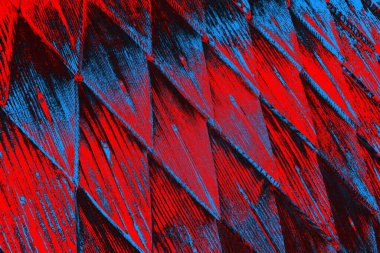 soyut renk dokusu, arkaplan, duvar kağıdını kopyala