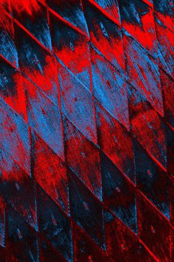 arkaplan olarak soyut renk dokusu, duvar kağıdını kopyala 