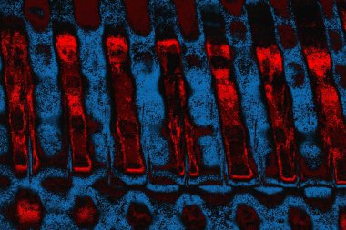 arkaplan olarak soyut renk dokusu, duvar kağıdını kopyala 
