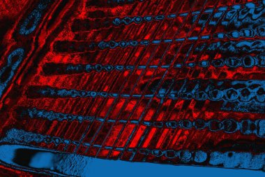 arkaplan olarak soyut renk dokusu, duvar kağıdını kopyala 