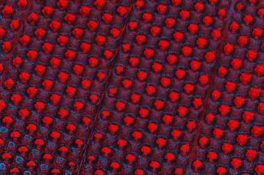 soyut renk dokusu, arkaplan, duvar kağıdını kopyala