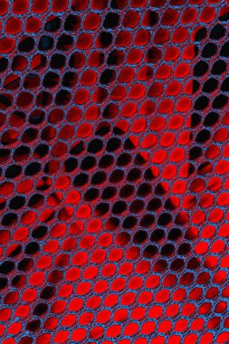 arkaplan olarak soyut renk dokusu, duvar kağıdını kopyala 