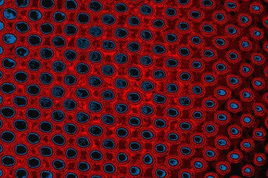 arkaplan olarak soyut renk dokusu, duvar kağıdını kopyala 