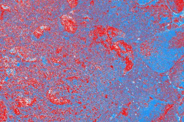 arkaplan olarak soyut renk dokusu, duvar kağıdını kopyala 