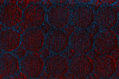 arkaplan olarak soyut renk dokusu, duvar kağıdını kopyala 