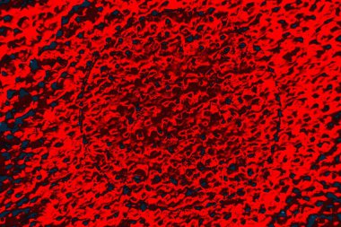 soyut renk dokusu, arkaplan, duvar kağıdını kopyala