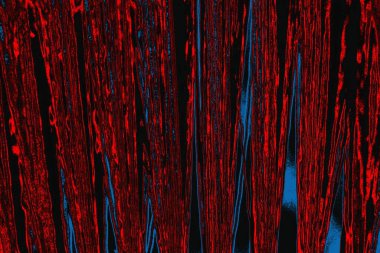 arkaplan olarak soyut renk dokusu, duvar kağıdını kopyala 