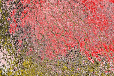 Soyut sanat duvar resmi. Modern, çağdaş sanat geçmişi