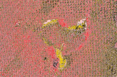 Soyut sanat duvar resmi. Modern, çağdaş sanat geçmişi