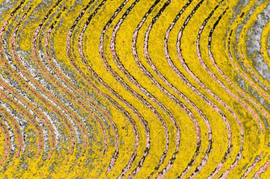 Soyut sanat duvar resmi. Modern, çağdaş sanat geçmişi