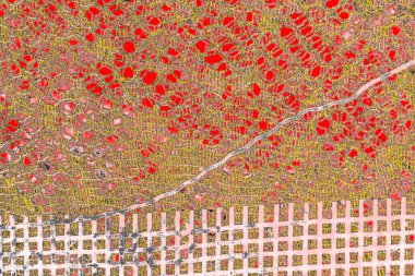 Soyut sanat duvar resmi. Modern, çağdaş sanat geçmişi