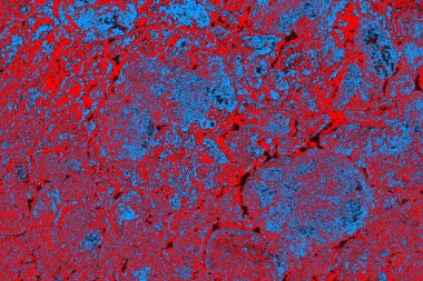 soyut renk dokusu, arkaplan, duvar kağıdını kopyala