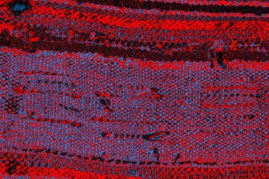 soyut renk dokusu, arkaplan, duvar kağıdını kopyala