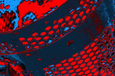 soyut renk dokusu, arkaplan, duvar kağıdını kopyala