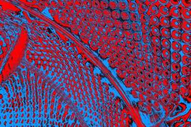 soyut renk dokusu, arkaplan, duvar kağıdını kopyala