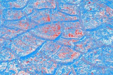 arkaplan olarak soyut renk dokusu, duvar kağıdını kopyala 