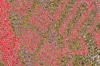 Soyut sanat duvar resmi. Modern, çağdaş sanat geçmişi