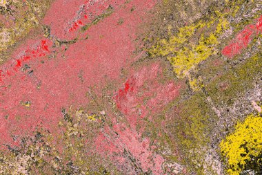 Soyut sanat duvar resmi. Modern, çağdaş sanat geçmişi