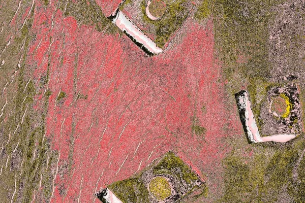 Soyut sanat duvar resmi. Modern, çağdaş sanat geçmişi