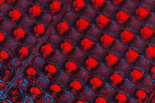 soyut renk dokusu, arkaplan, duvar kağıdını kopyala