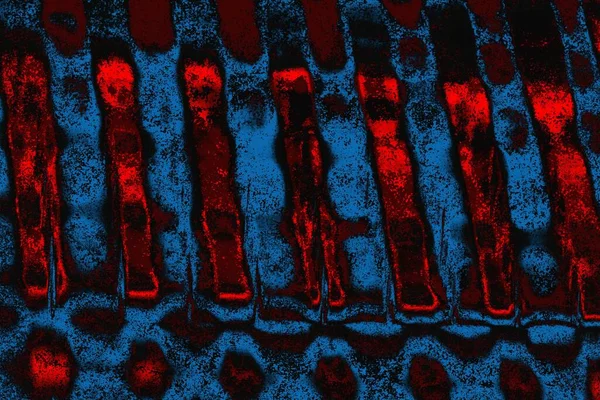 arkaplan olarak soyut renk dokusu, duvar kağıdını kopyala 