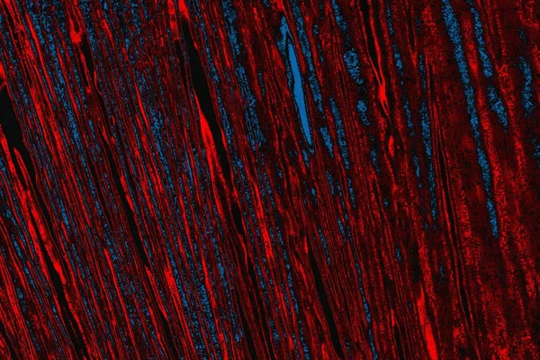 arkaplan olarak soyut renk dokusu, duvar kağıdını kopyala 