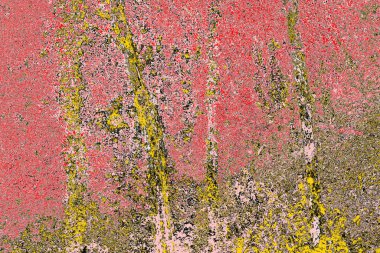 Soyut sanat duvar resmi. Modern, çağdaş sanat geçmişi