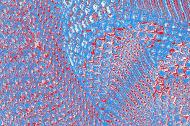 arkaplan olarak soyut renk dokusu, duvar kağıdını kopyala 