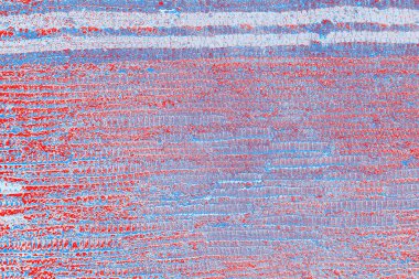 arkaplan olarak soyut renk dokusu, duvar kağıdını kopyala 