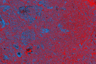 soyut renk dokusu, arkaplan, duvar kağıdını kopyala