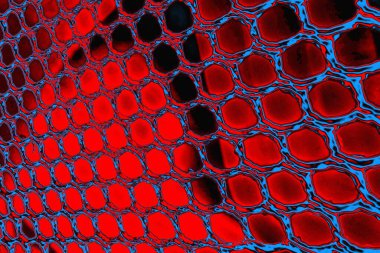 arkaplan olarak soyut renk dokusu, duvar kağıdını kopyala 