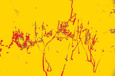 Soyut sanat duvar resmi. Modern, çağdaş sanat geçmişi