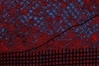 arkaplan olarak soyut renk dokusu, duvar kağıdını kopyala 