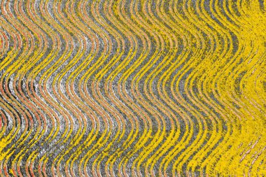 Soyut sanat duvar resmi. Modern, çağdaş sanat geçmişi