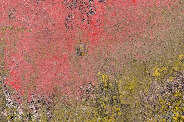 Soyut sanat duvar resmi. Modern, çağdaş sanat geçmişi