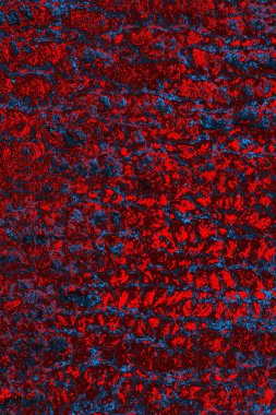 soyut renk dokusu, arkaplan, duvar kağıdını kopyala