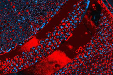 soyut renk dokusu, arkaplan, duvar kağıdını kopyala