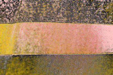 Soyut sanat duvar resmi. Modern, çağdaş sanat geçmişi