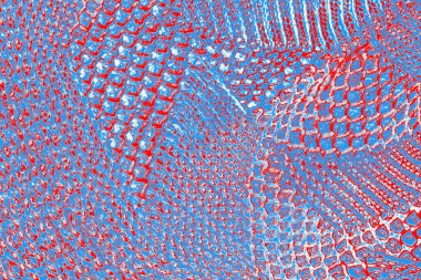 arkaplan olarak soyut renk dokusu, duvar kağıdını kopyala 