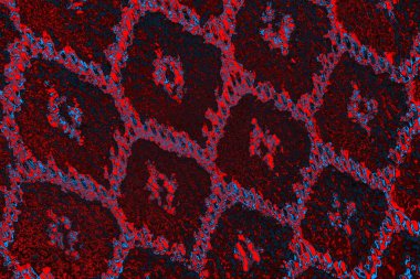 soyut renk dokusu, arkaplan, duvar kağıdını kopyala